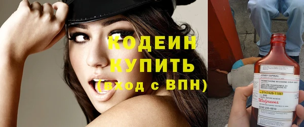 дмт Вяземский