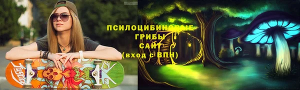 стаф Вязники