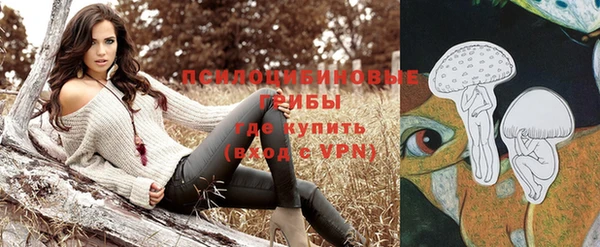 стаф Вязники