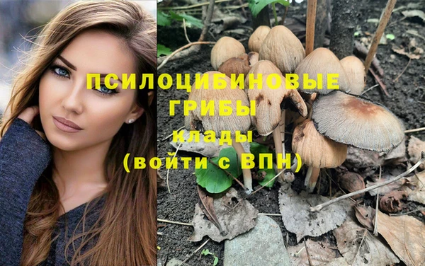 стаф Вязники