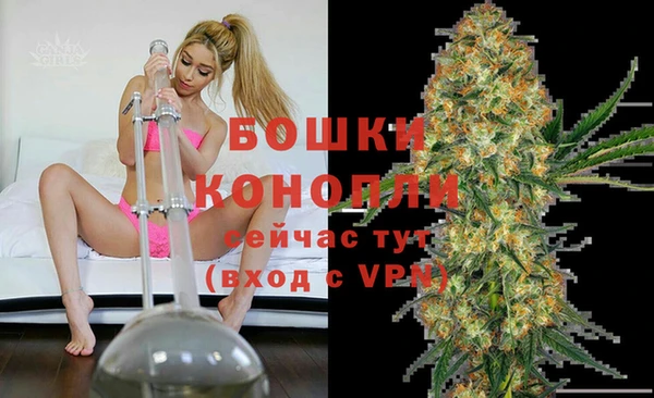 дмт Вяземский