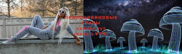 стаф Вязники