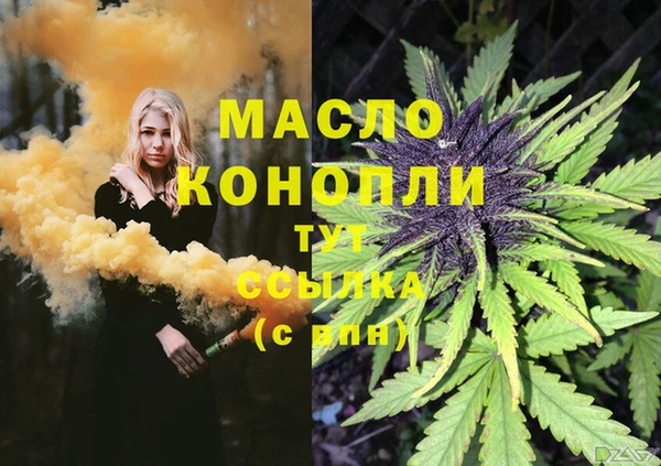 дмт Вяземский