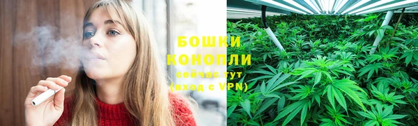стаф Вязники